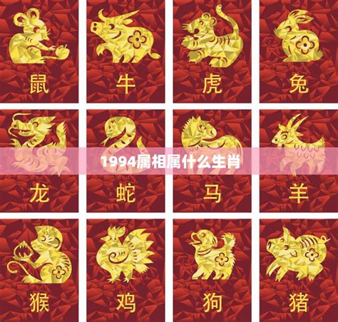 1994五行属什么|1994 年出生属什么生肖